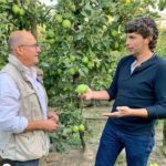 Jaume Armengol, nou president de la IGP Poma de Girona Jaume Armengol