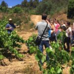 El Baix Empordà també participa a la Setmana Bio per l’alimentació ecològica