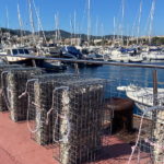 varwwwvhostsradiocapital.cathttpdocswp-contentuploads202111echoBIOHUTS_FOTO.jpg