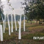 varwwwvhostsradiocapital.cathttpdocswp-contentuploads202111echoem-planto-a-lemporda.jpg