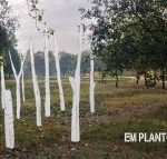 varwwwvhostsradiocapital.cathttpdocswp-contentuploads202111echoem-planto-a-lemporda-300×143.jpg