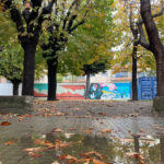 Espai 17100 Jove: la proposta més votada pel jovent bisbalenc espai 17100 la bisbal