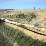 El Govern enllesteix el primer projecte de buidatge de Vacamorta