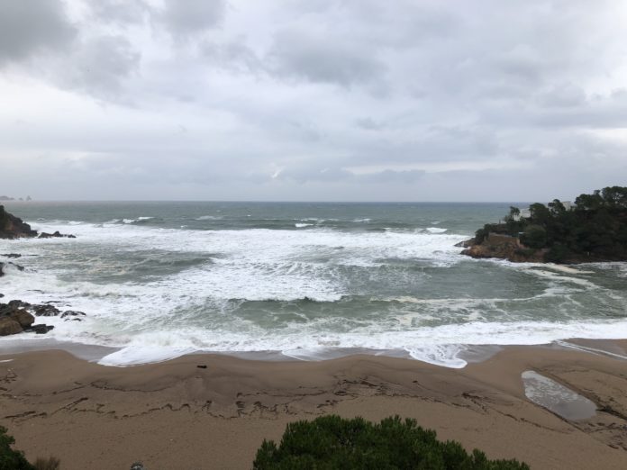 Temporal