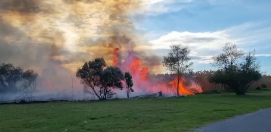 incendi Gola del Ter