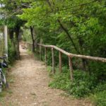 L’Ajuntament de Pals vol fer un camí verd per unir el nucli del municipi amb els masos