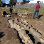 privat:-s’inicia-el-projecte-de-consolidacio-i-reintegracio-de-25-tombes-situades-a-l’antiga-esglesia-de-santa-cristina-d’aro