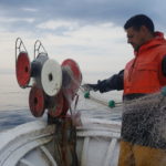 La Confraria de Pescadors de Palamós vendrà peix a punt per cuinar