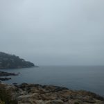 Primers dies de 2022 sota la boira