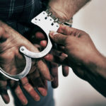 Dos detinguts a Palamós per tenir 152 plantes de marihuana