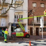 privat:-darreres-feines-de-poda-a-sant-feliu-de-guixols