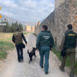 El Seprona fa una campanya per detectar esquers enverinats a diverses poblacions del Baix Empordà agents seprona enverinament mascotes