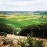 Empordà Imprescindible: La ciutat ibèrica d’Ullastret