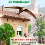 varwwwvhostsradiocapital.cathttpdocswp-contentuploads202202echoCartell_Expo_Palafrugell_medi_ambient.jpg