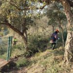 El Consell Comarcal contracta una Nova Brigada Forestal brigada forestal