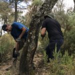 privat:-la-gestio-sostenible-de-les-suredes-redueix-el-risc-d’incendis-forestals