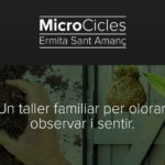 privat:-taller-familiar-de-kokedama,-tecnica-japonesa-de-testos-artesanals-a-traves-dels-microcicles-de-l’ermita-de-sant-amanc-de-mascanada-6