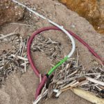 Nova polèmica a la platja d’Illa Roja (Begur): Denuncien l’aparició d’aigües fecals