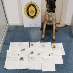 La patrulla canina de Palafrugell detecta dotze persones amb drogues en una festa a la població privat:-la-policia-local-realitza-un-control-que-acaba-amb-12-actes-per-substancies-estupefaents,-6-drogotest-positius,-3-alcoholemies-administratives-i-una-penal
