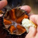 La Garoinada recupera les seves xifres prepandèmiques amb més de 8.900 menús i racions servits privat:-la-garoinada-recupera-les-seves-xifres-prepandemiques-on-s’han-servit-mes-de-8.900-menus-i-racions