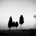 Homenatjen a Gabriel Ferrater en l’exposició col·lectiva “Correlats” Eugeni-Prieto-Ferrater