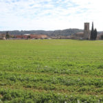 La Diputació participa en un projecte europeu per adaptar l’agricultura i la gestió forestal al canvi climàtic Un dels conreus de Monells que participen en el projecte europeu LIFE AgroForAdapt Data de publicació: dimecres 06 d’abril del 2022, 15:39 Localització: Monells Autor: Imatge cedida a l'ACN per la Diputació de Girona