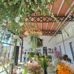 varwwwvhostsradiocapital.cathttpdocswp-contentuploads202205localimages00_GUIXOLSFLORS_BONA.jpg
