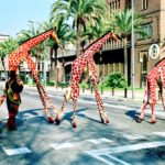Una cercavila itinerant iniciarà la 7a Edició de la Fira del Conte, «Explica’m 2022», a Sant Feliu privat:-un-vistos-espectacle-de-cercavila-itinerant-amb-girafes-donara-inici,-el-proper-divendres-10-de-juny,-a-la-7a-edicio-de-la-fira-del-conte,-“explica’m-2022”-a-sant-feliu-de-guixols