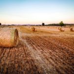 privat:-precaucions-per-a-la-campanya-de-sega