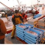 Palamós, capital de la pesca sostenible