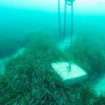 SOS Costa Brava denuncia que s’estan instal·lant blocs de formigó sobre la posidònia per subjectar boies a Begur Un bloc de formigó aixafa un herbrer de posidònia a Aiguablava Data de publicació: dijous 09 de juny del 2022, 11:36 Localització: Begur Autor: Redacció