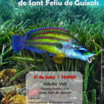 varwwwvhostsradiocapital.cathttpdocswp-contentuploads202206localimages00_XERRADA_BIODIVERSITAT.jpg