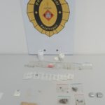 privat:-la-unitat-canina-de-la-policia-local-de-palafrugell-collabora-en-una-detencio-d’un-delicte-contra-la-salut-publica