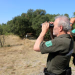 Desactiven el nivell 3 del Pla Alfa a 30 municipis de l’Empordà i es reobren el Cap de Creus, el Montgrí i l’Albera Dos agents rurals vigilant amb prismàtics part del massís de les Gavarres Data de publicació: divendres 15 de juliol del 2022, 12:51 Localització: Quart Autor: Xavier Pi
