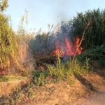 Dos detinguts com a pressumptes autors d’un delicte d’incendi a Palafrugell