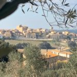 La Nit Jove de Bellcaire d’Empordà, una nit d’unió