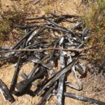 Veïns de les Gavarres denuncien el robatori de cables de coure que augmenten el risc d’incendi Robatoris coure Incendi