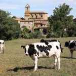 El veïnat de Llofriu es queixa del soroll de festes organitzades sense permís en dos masos