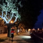 Efectes lumínics per foragitar els estornells a la Bisbal d’Empordà