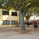 privat:-gran-satisfaccio-per-l’exit-dels-casals-municipals-d’estiu
