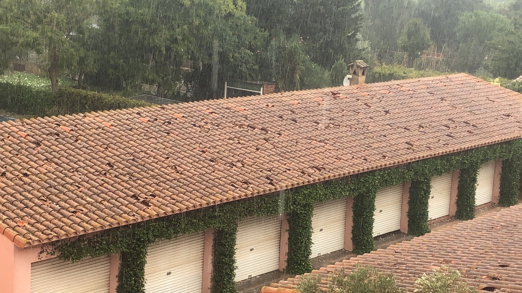 Alguns dels desperfectes causats per la calamarsada del 30 d'agost al Baix Empordà