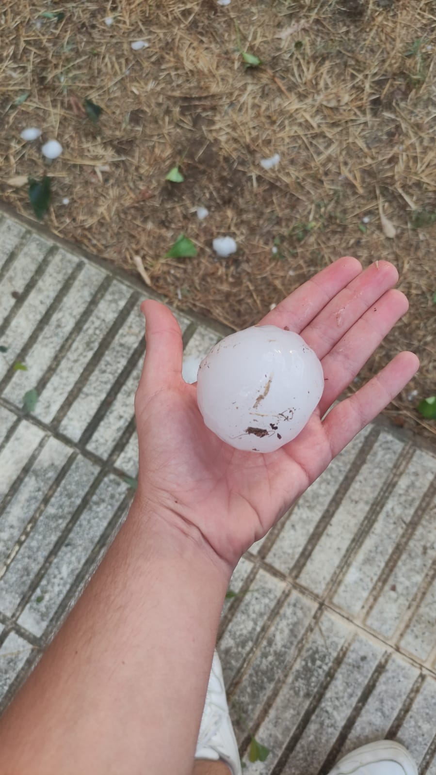 Alguns dels desperfectes causats per la calamarsada del 30 d'agost al Baix Empordà