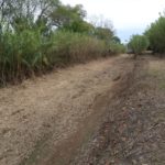 Palamós destinarà 2 milions d’euros a projectes per minimitzar riscos d’inundacions al municipi