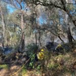 Apaguen un petit incendi a Sant Feliu de Guíxols Incendi Monticalvari Sant Feliu de Guíxols