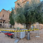 privat:-comencen-les-obres-de-la-placa-del-monestir,-l’avantsala-del-museu-carmen-thyssen