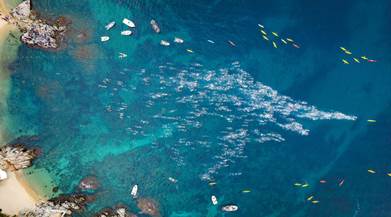 privat:-radikal-ocean52:-la-competicio-en-aigues-obertes-de-referencia-amb-1.500-participants