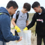 L’acció de conscienciació mediambiental «Let’s Clean Europe» recull prop de 150 kg de residus dels Aiguamolls de l’Empordà Joves recollint plàstics crèdit ACN (1)