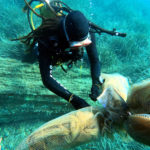 Els investigadors troben per primer cop larves de nacra a la Costa Brava després del paràsit que va arrasar l’espècie Un dels investigadors amb els col·lectors de larves de la Costa Brava on s'han trobat exemplars de nacra - Cedida per SUBMON