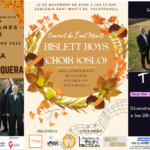 privat:-palafrugell-celebra-la-festivitat-de-sant-marti