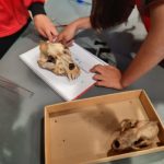 Més de 600 infants participen en una “Gimcana científica” a Palafrugell privat:-mes-de-600-infants-participen-avui-en-una-“gimcana-cientifica”-a-palafrugell